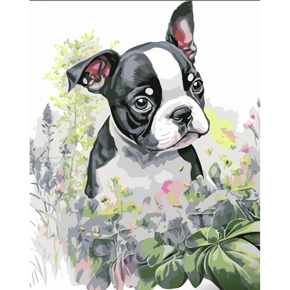 Фото, Видеообзоры картина за номерами strateg преміум мила мордочка з лаком розміром 30х40 см (ss6681)