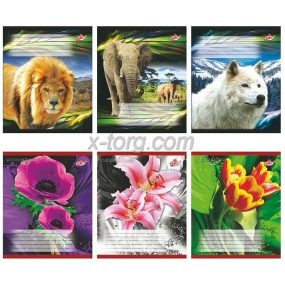 Зошит 18 л клітинка 