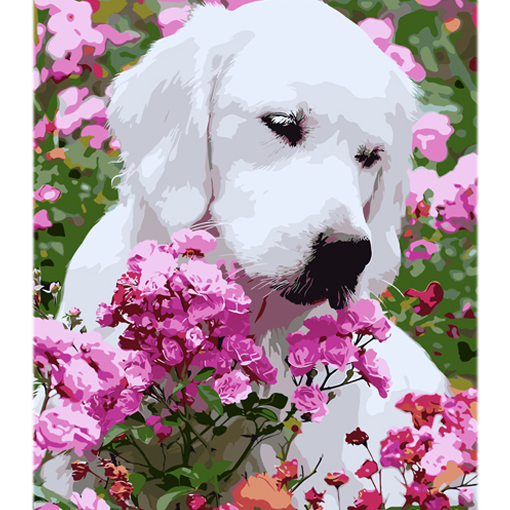 Фото, Видеообзоры картина за номерами strateg бешкетник на кольоровому фоні розміром 40х50 см (mz076)