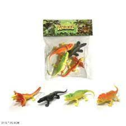 Фото, Відеоогляди 