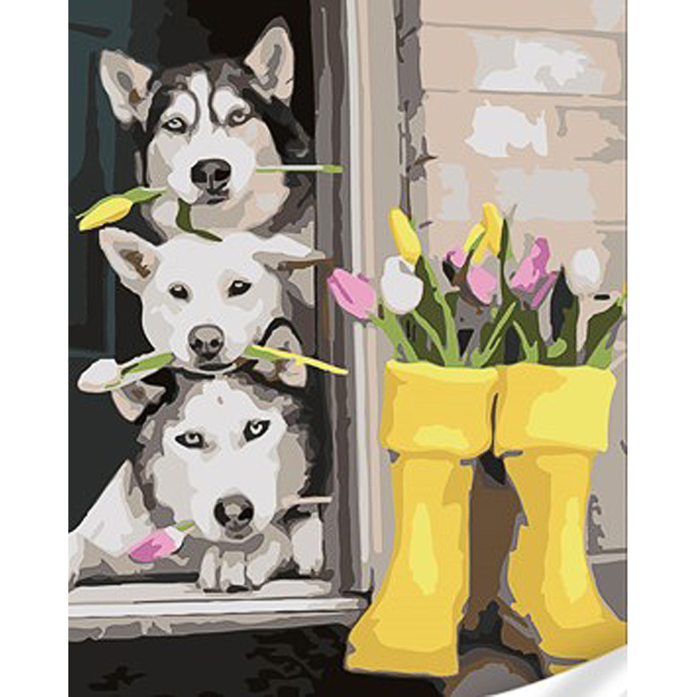 Фото, Відеоогляди картина за номерами strateg преміум красені хаскі з лаком та з рівнем розміром 30х40 см (ss1136)