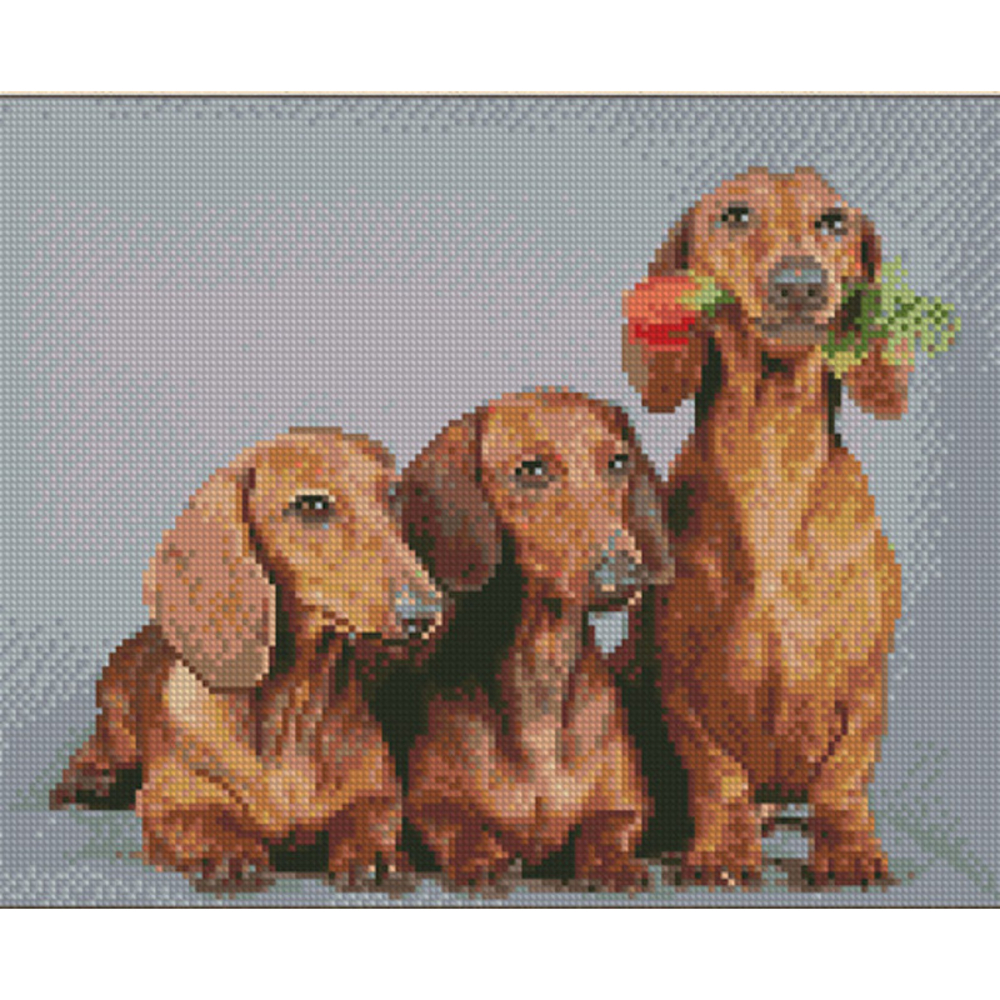 Фото, Видеообзоры алмазна мозаїка strateg преміум трійка такс розміром 30х40 см (kb012)