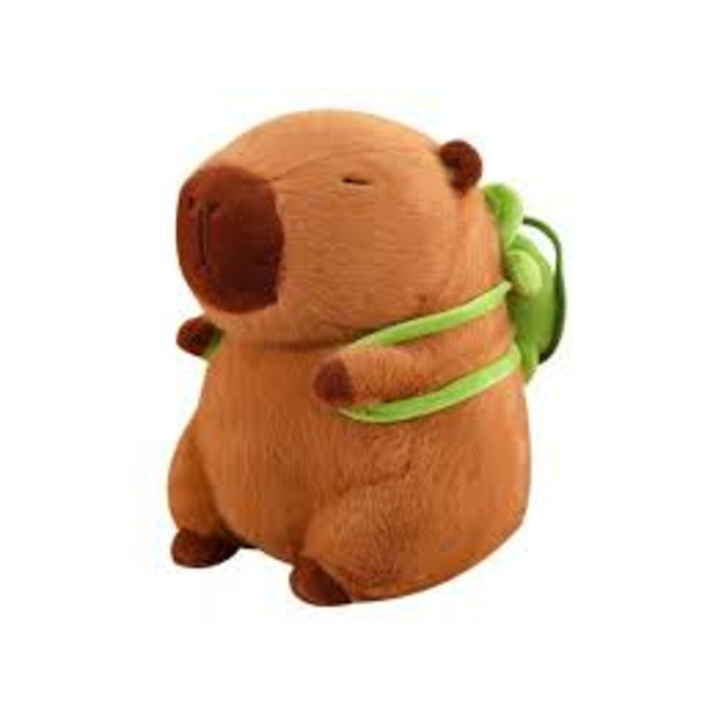 Фото, Видеообзоры 