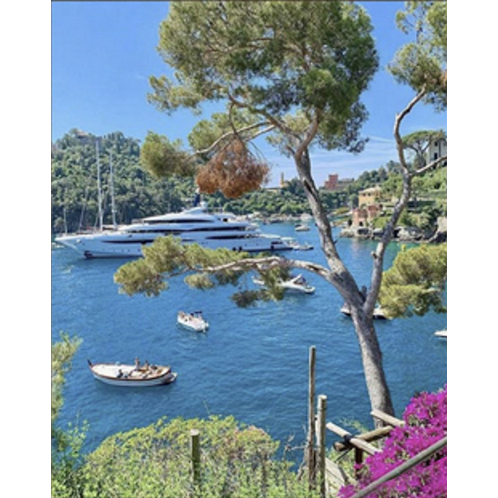 Фото, Відеоогляди алмазна мозаїка strateg преміум портофіно  розміром 30х40 см (heg86067)