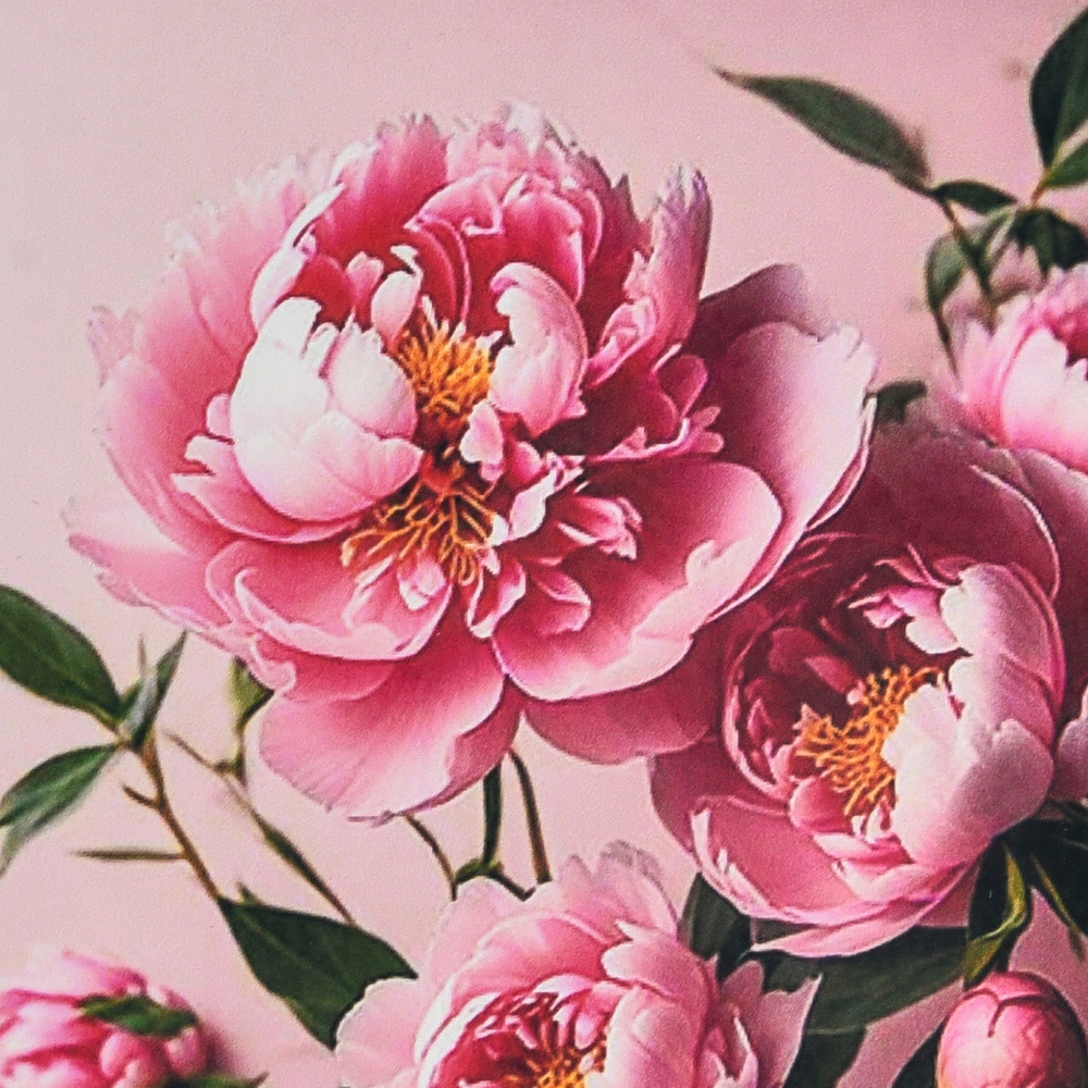 Фото, Відеоогляди алмазна мозаїка strateg преміум півонії на рожевому тлі розміром 30х30 см (hee16346)