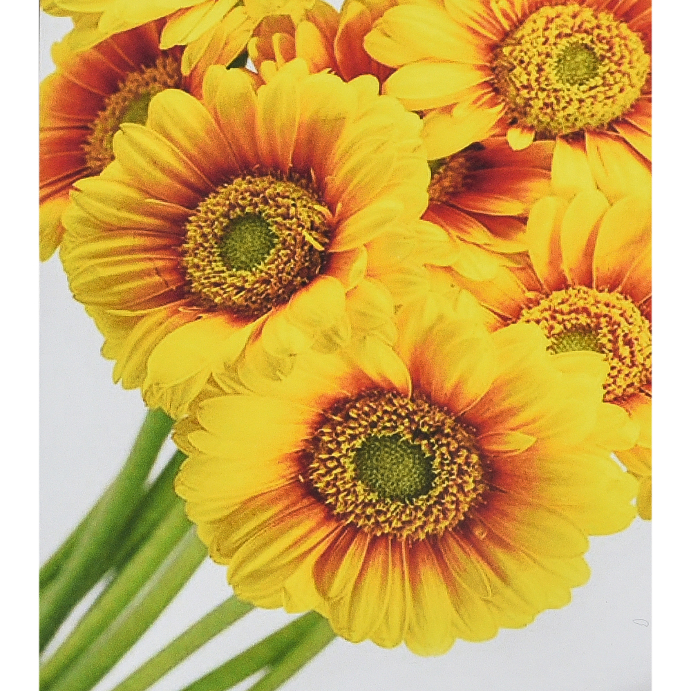 Фото, Відеоогляди алмазна мозаїка strateg преміум сонячні квіти розміром 30х40 см (heg88145)