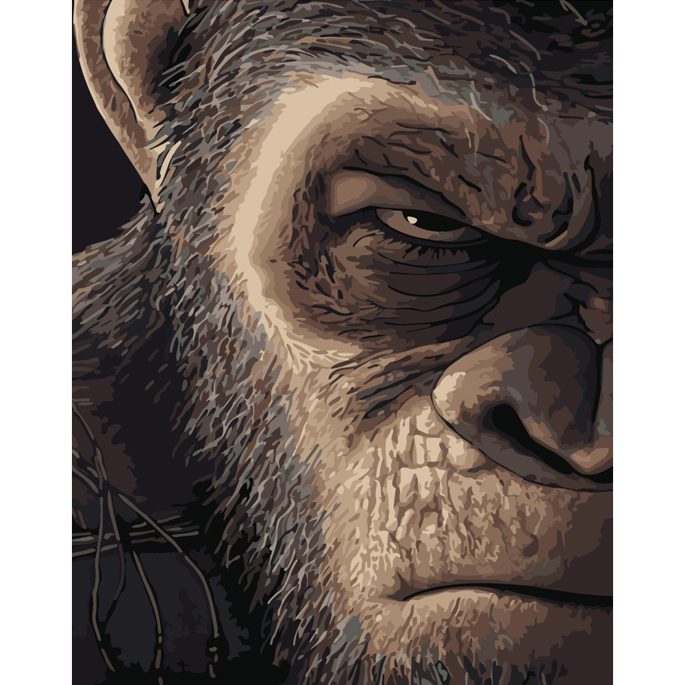 Фото, Відеоогляди картина за номерами strateg преміум злий погляд розміром 40х50 см (dy279)