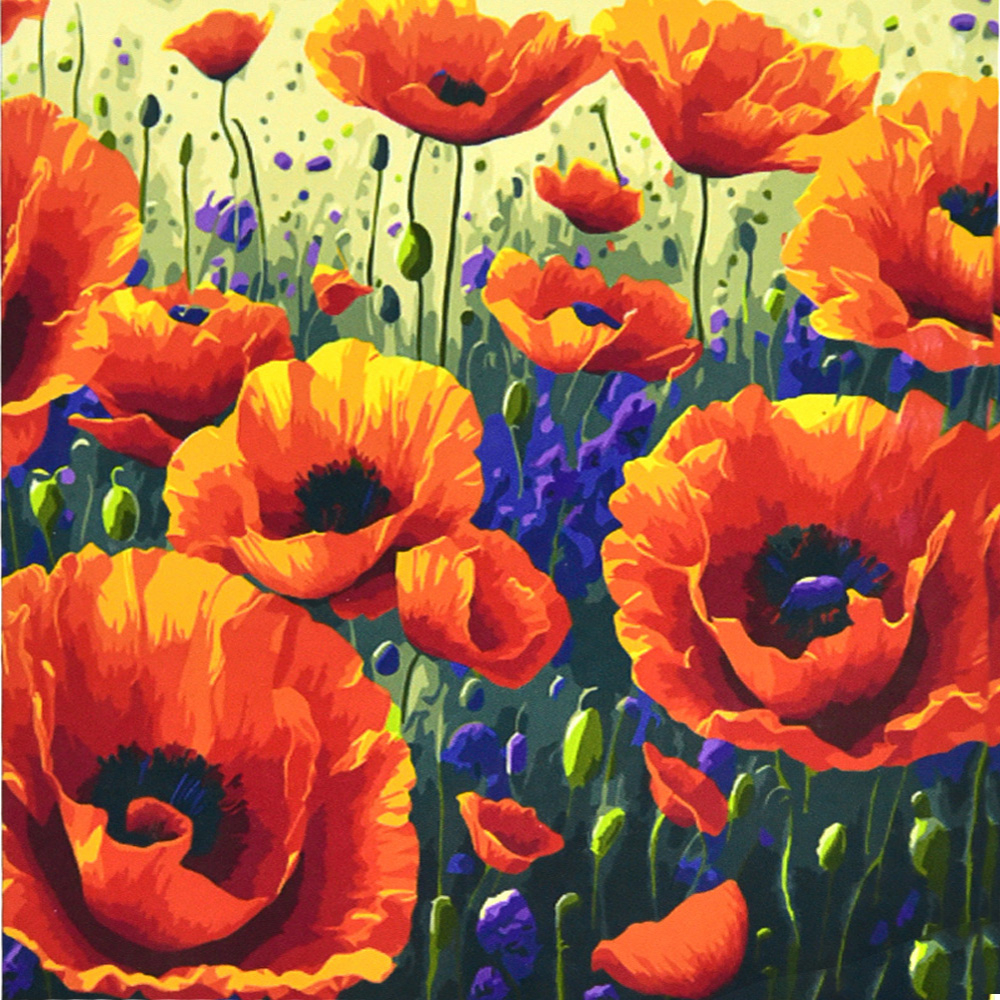 Фото, Видеообзоры картина за номерами strateg   поле маків розміром 50х50 см (aa021)