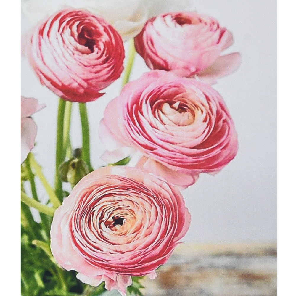 Фото, Відеоогляди алмазна мозаїка strateg преміум рожева симфонія розміром 30х40 см (heg87059)