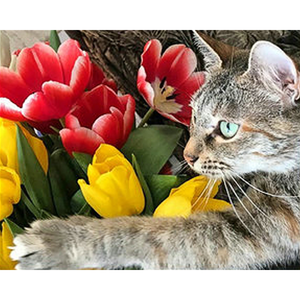 Фото, Видеообзоры алмазна мозаїка strateg преміум березневий настрій розміром 30х40 см (gm85987)