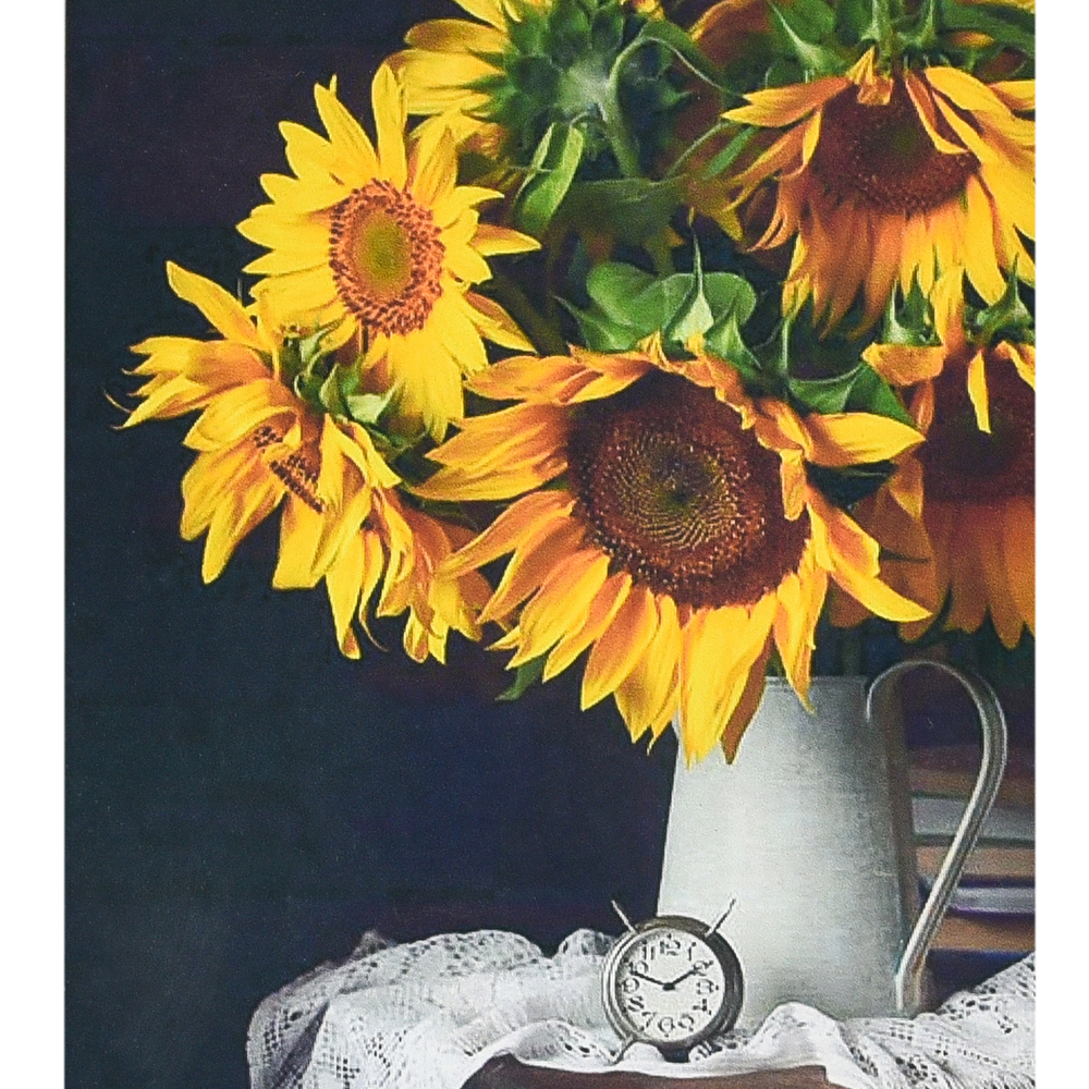 Фото, Відеоогляди алмазна мозаїка strateg преміум сонячний настрій розміром 40х50 см (sk88276)