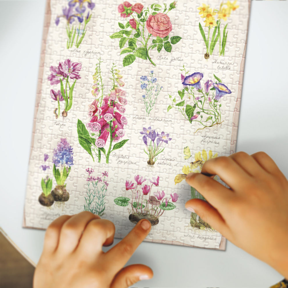 Фото, Видеообзоры пазл dodo ботаніка квітковий сад