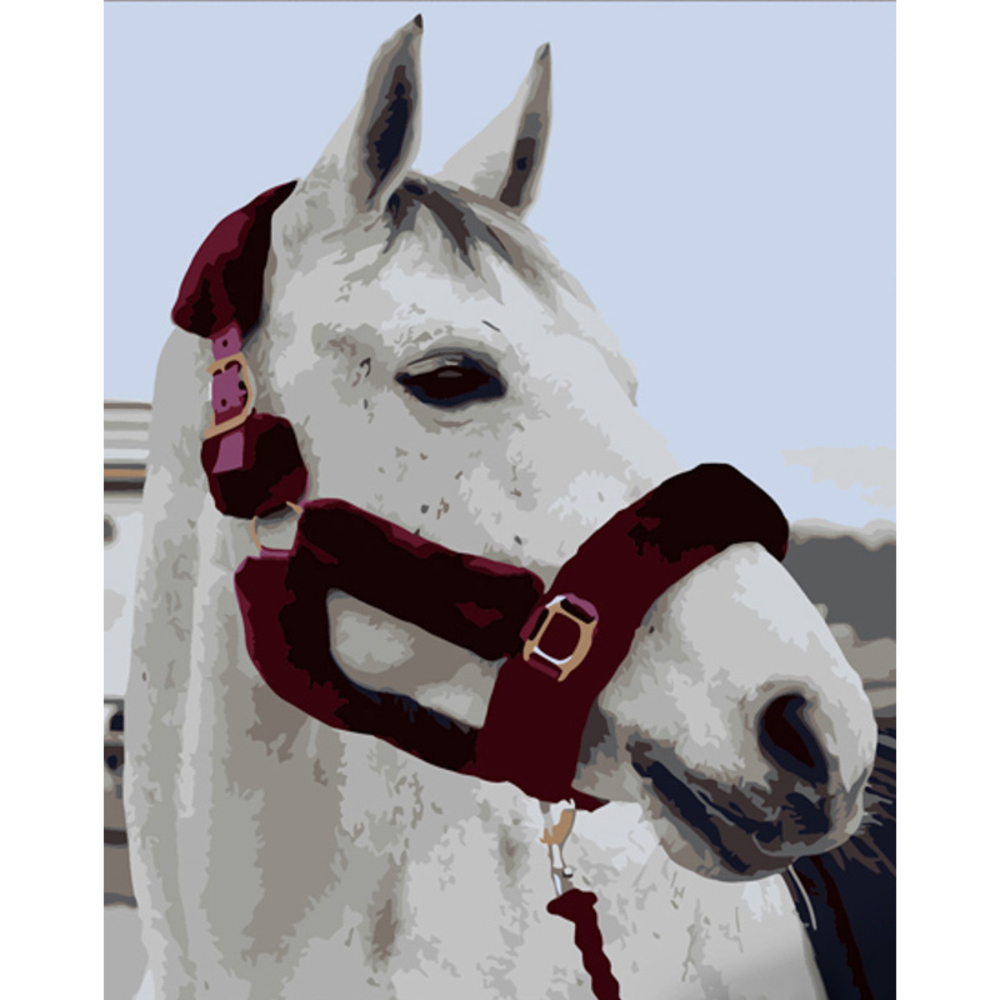 Фото, Відеоогляди картина за номерами strateg преміум душа прерій розміром 40х50 см (dy382)