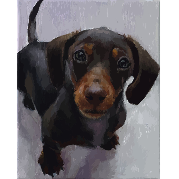 Картина за номерами Strateg ПРЕМІУМ Такса з лаком розміром 40х50 см VA-0014