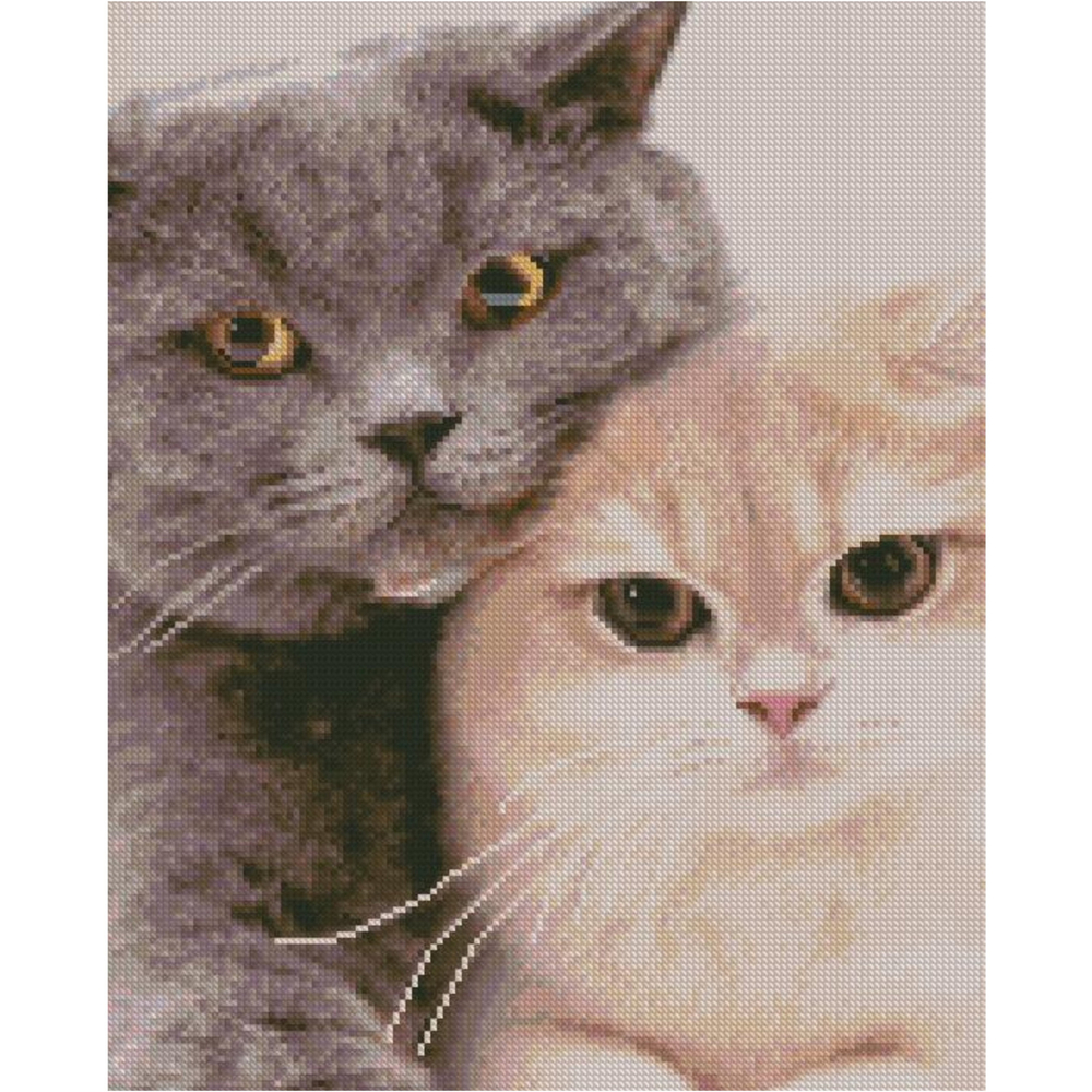 Фото, Видеообзоры алмазна картина strateg преміум пухнасті друзі розміром 40х50 см fa40909