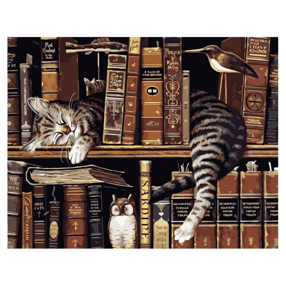 Фото, Відеоогляди картина за номерами strateg преміум котик на полиці з книгами з лаком розміром 40х50 см va-1726