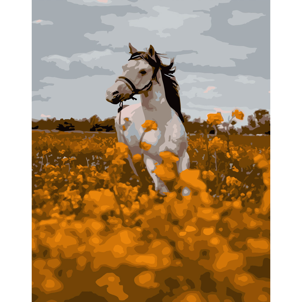 Фото, Відеоогляди картина за номерами strateg преміум скакун у полі розміром 40х50 см (dy249)