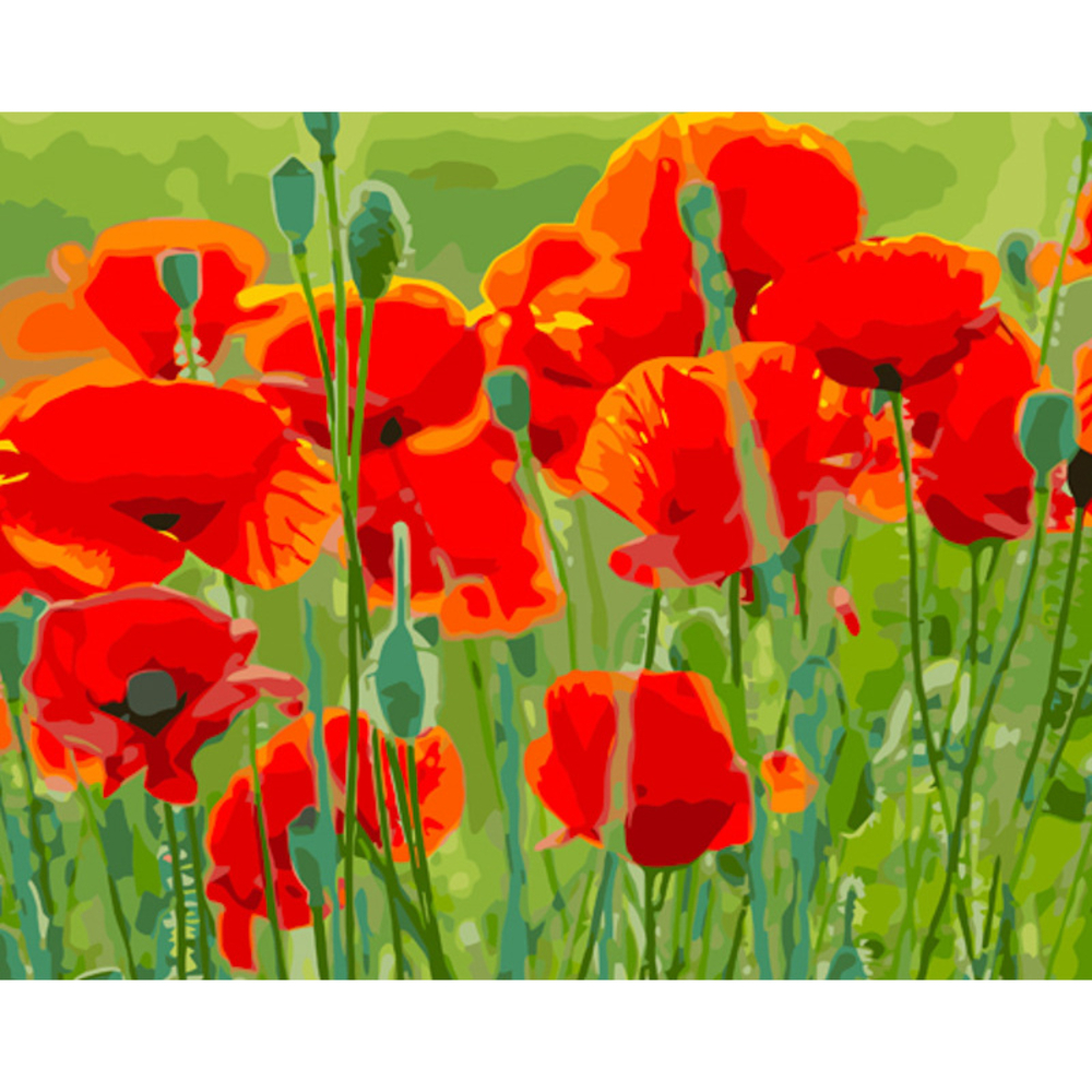 Фото, Видеообзоры картина за номерами strateg преміум маки в полі з лаком розміром 40х50 см (gs1179)