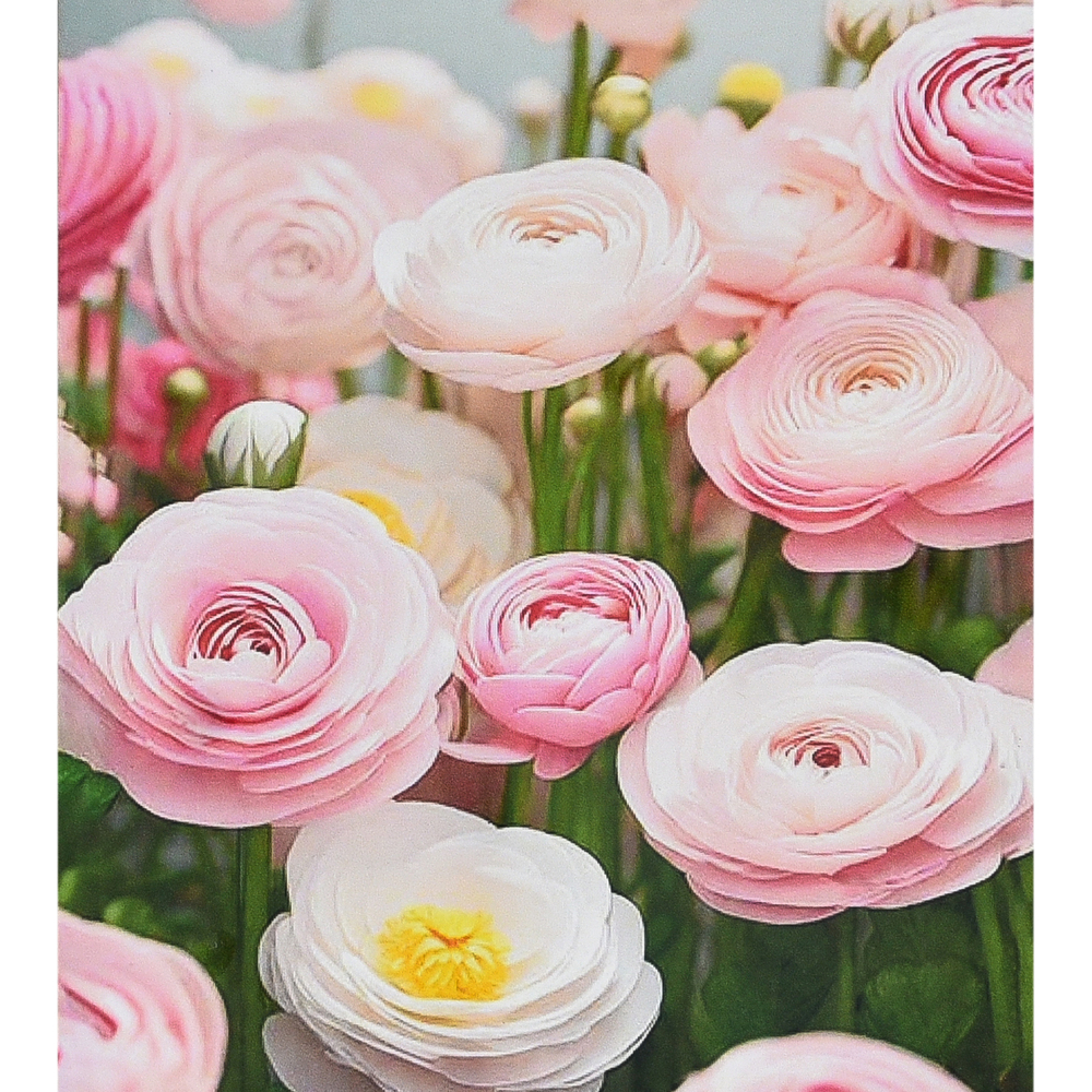 Фото, Відеоогляди алмазна мозаїка strateg преміум пелюсткові мрії розміром 30х40 см (heg88142)