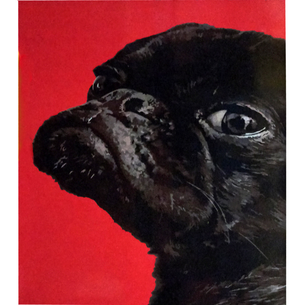 Фото, Відеоогляди картина за номерами strateg преміум французький бульдог з лаком розміром 30х40 см (ss-6492)