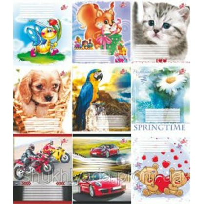 Фото, Видеообзоры 