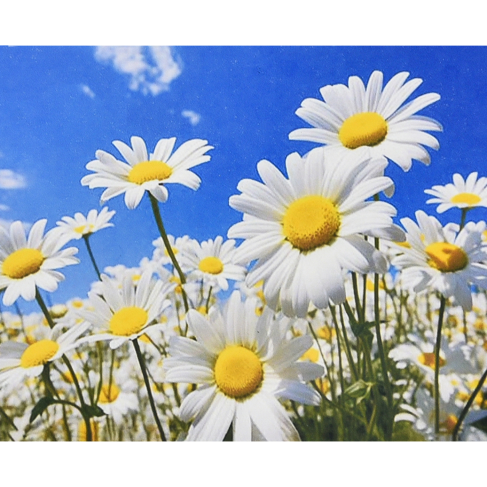 Фото, Відеоогляди алмазна мозаїка strateg преміум сонячні пелюстки розміром 30х40 см (heg88144)