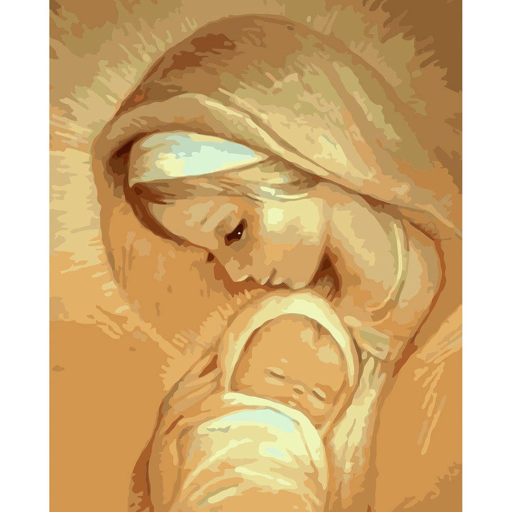 Фото, Видеообзоры картина за номерами strateg преміум таємниця народження 2 з лаком розміром 40х50 см va-3609