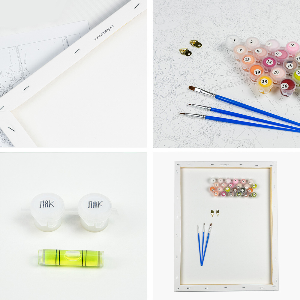 Фото, Видеообзоры картина за номерами strateg преміум паприка з лаком розміром 40х50 см va-3751