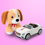 Транспорт і улюбленці