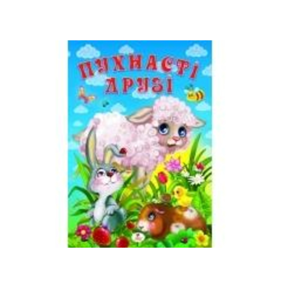 Фото, Видеообзоры 