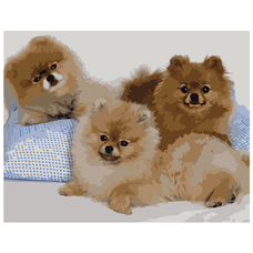 Картина за номерами Strateg ПРЕМІУМ Три шпіца з лаком розміром 40х50 см VA-0513