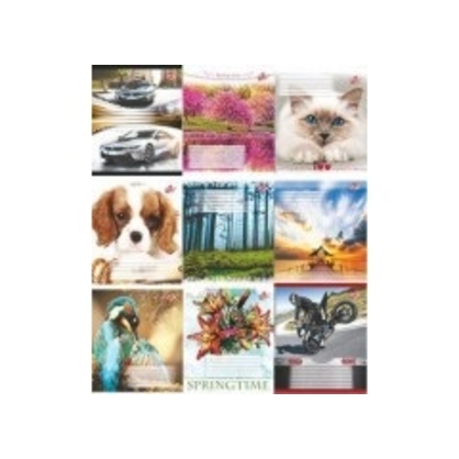 Фото, Видеообзоры 