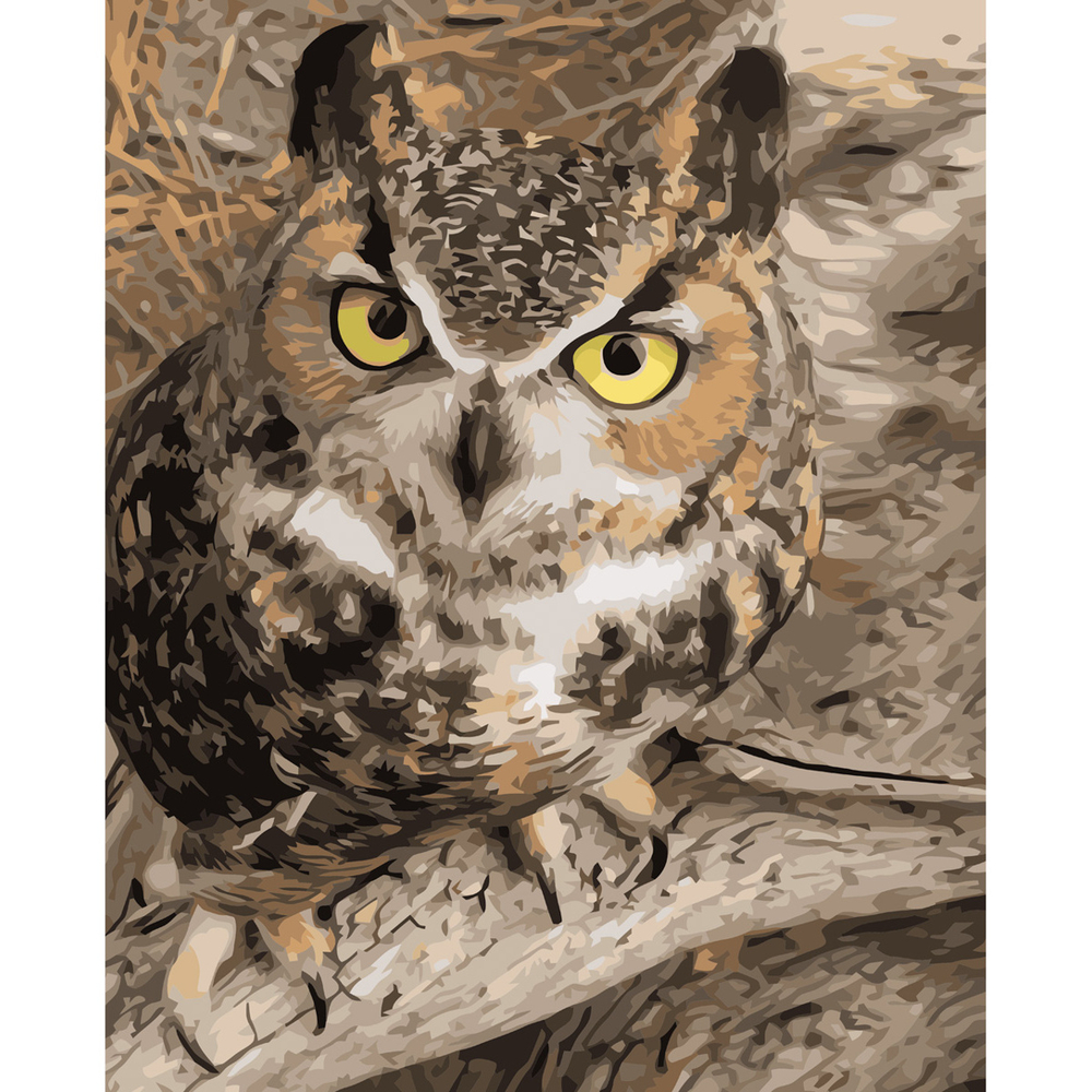 Фото, Видеообзоры картина за номерами strateg преміум погляд мудрості з лаком розміром 40х50 см va-3597