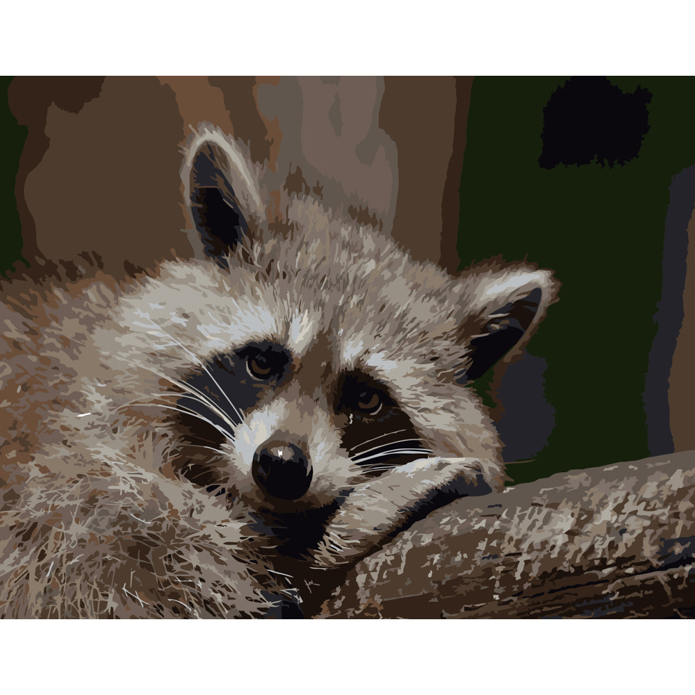 Фото, Видеообзоры картина за номерами strateg преміум сумний єнотик розміром 40х50 см (dy087)