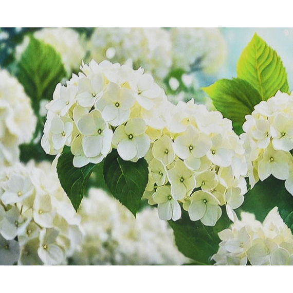 Отзывы  алмазна мозаїка strateg преміум біле сяйво розміром 30х40 см (heg88155)