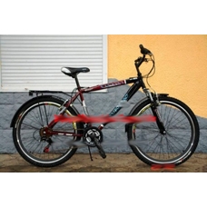 Велосипед 24