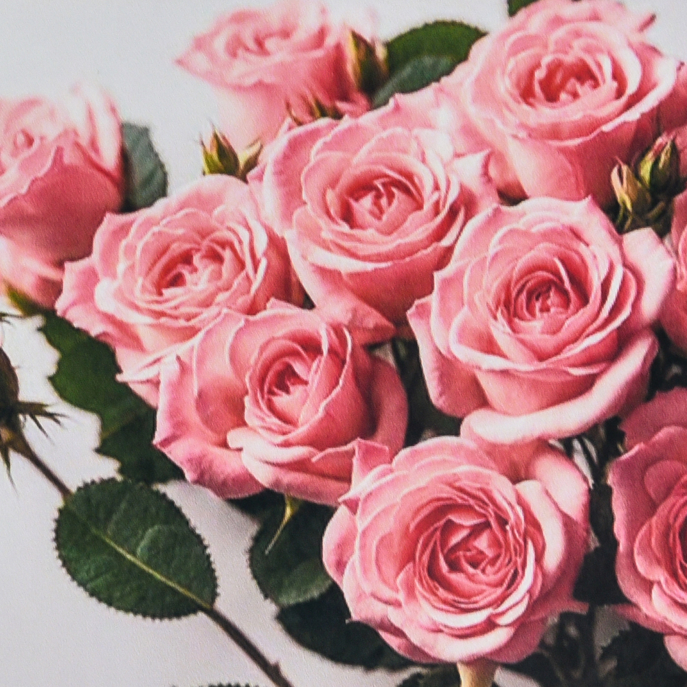 Фото, Відеоогляди алмазна мозаїка strateg преміум ніжність рожевих троянд розміром 30х30 см (hee16347)