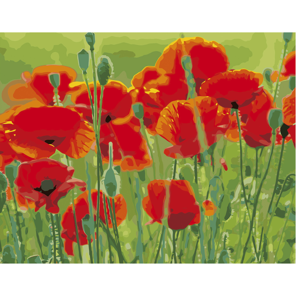 Фото, Видеообзоры картина за номерами strateg преміум маки в полі з лаком розміром 40х50 см va-2660