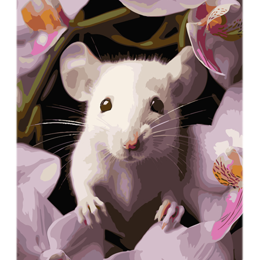 Фото, Видеообзоры картина за номерами strateg мишеня з орхідеєю на кольоровому фоні розміром 40х50 см (mz029)