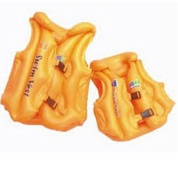 Жилет BT-IG-0005 (TS-1147-1) великий 3кол.кул.ш.к./120/