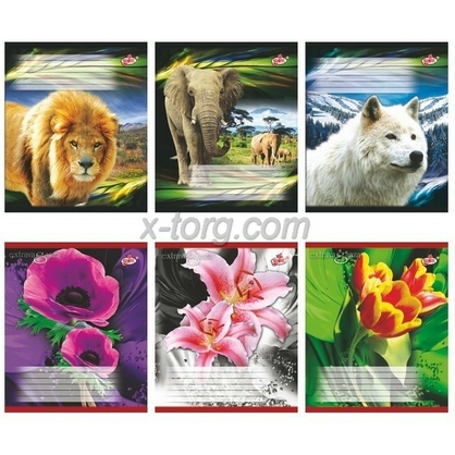 Фото, Видеообзоры 