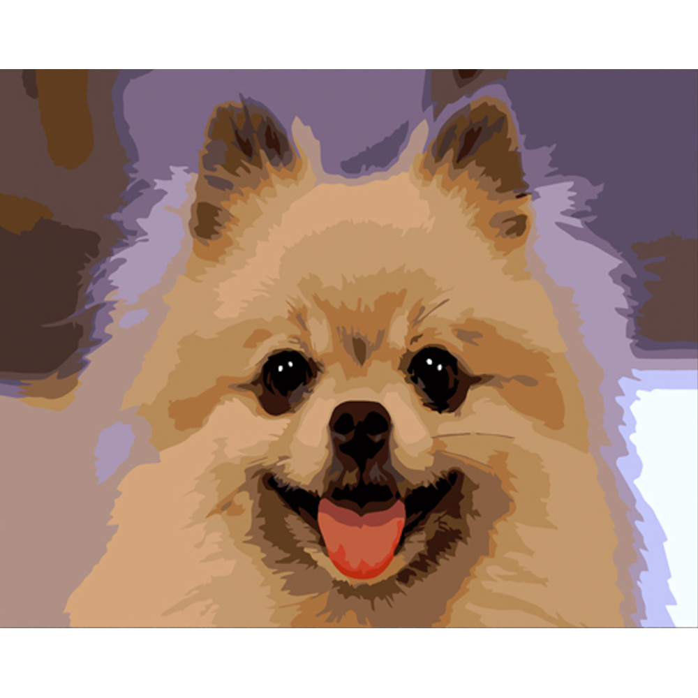 Фото, Видеообзоры картина за номерами strateg преміум портрет шпіца з лаком розміром 30х40 см (ss6801)