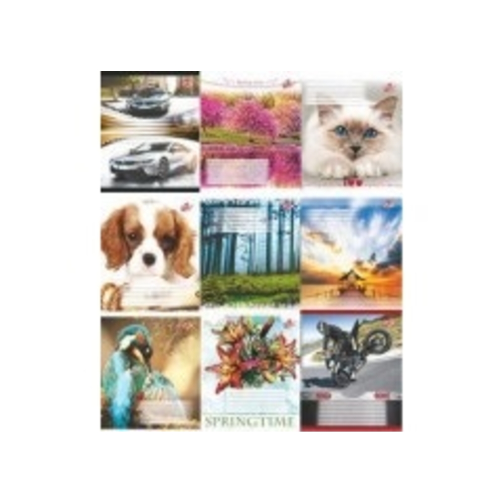 Фото, Видеообзоры 