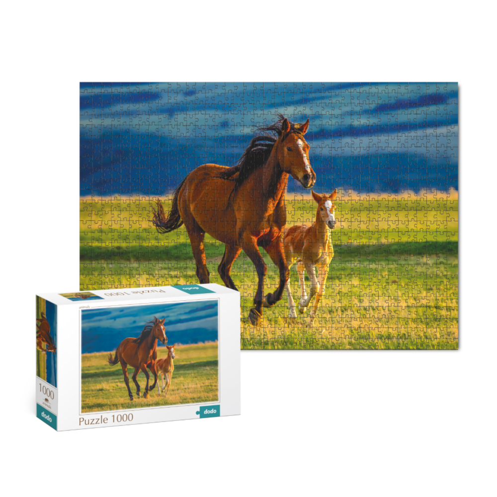 Фото, Відеоогляди пазл dodo виховання маленького лошати