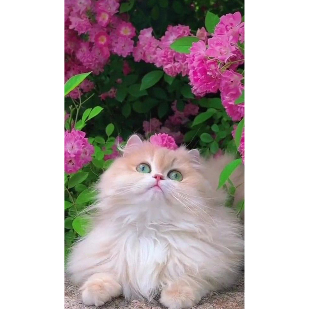 Фото, Видеообзоры алмазна мозаїка strateg преміум квітковий друг розміром 30х40 см (heg87036)