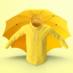 Парасольки і дощовики