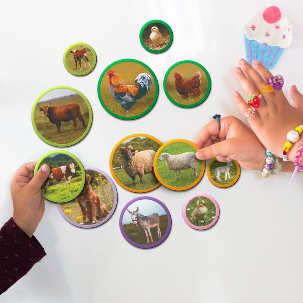 Фото, Відеоогляди набір магнітів dodo монтессорі родини тварин ферма