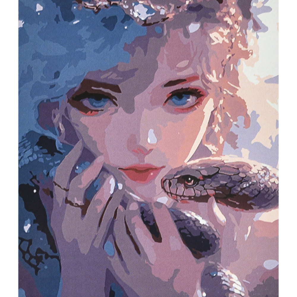 Фото, Відеоогляди картина за номерами strateg преміум магія і небезпека з лаком та рівнем розміром 40х50 см (va-4625)