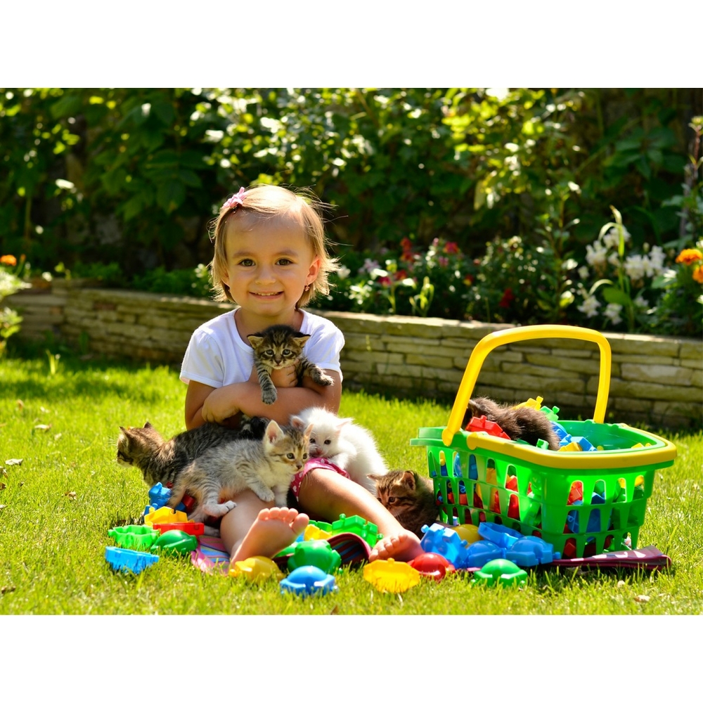 Фото, Відеоогляди іграшка "корзина технок", арт.3053