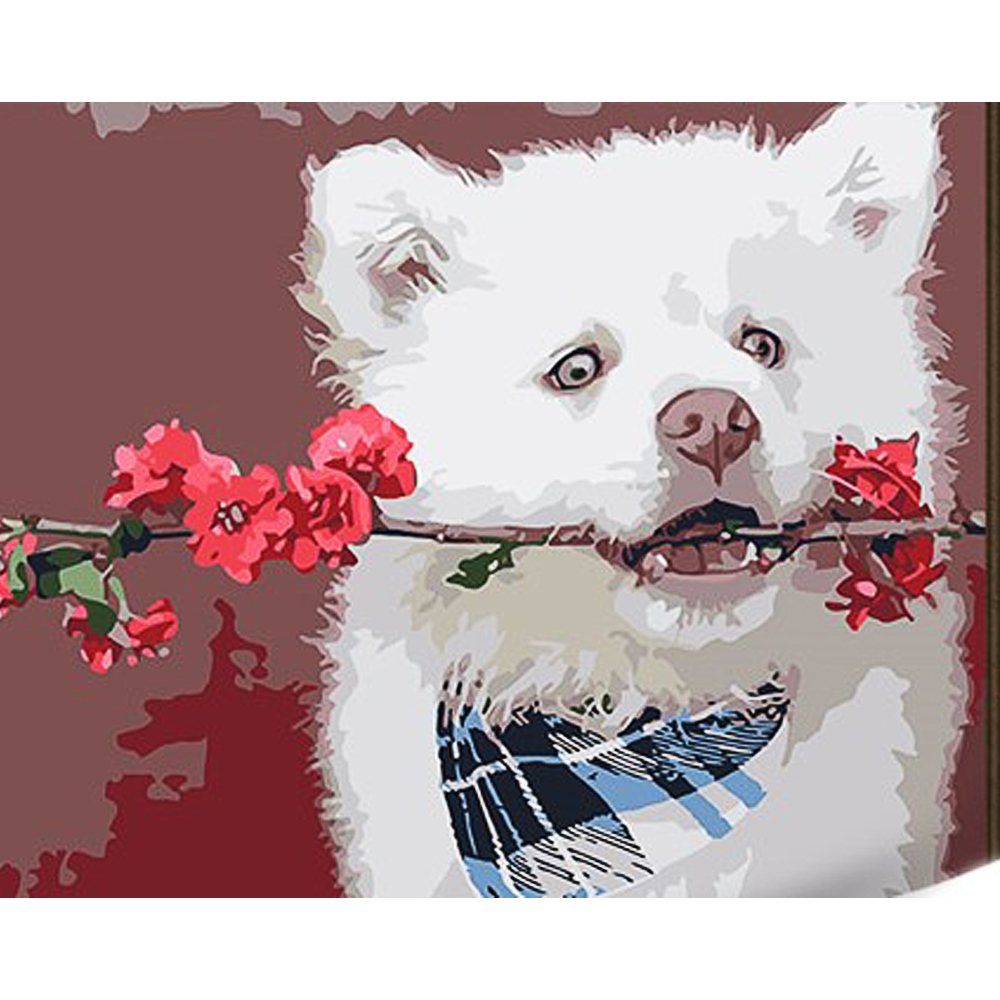 Фото, Видеообзоры картина за номерами strateg преміум білий джентельмен з лаком та з рівнем розміром 30х40 см (ss1108)